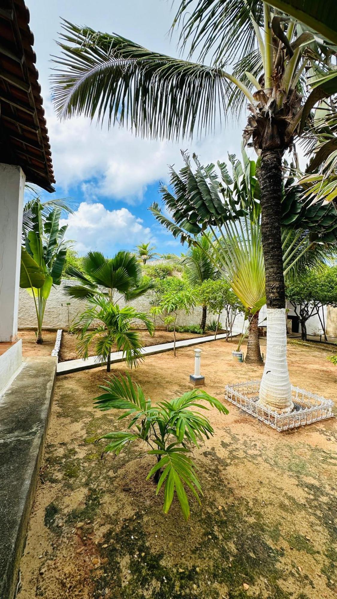 Sítio B&B Residencia Casa Branca מראה חיצוני תמונה